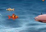 Feed Virtual Fish Game