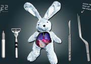 Heart Operation To Rabbit