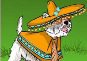 Mexican Dog Dress Up